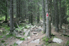 Cab Pietrele, Lac Galesu