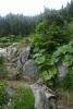 Cab Pietrele, Lac Galesu