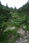 Cab Pietrele, Lac Galesu