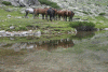 Cab Pietrele, Lac Galesu
