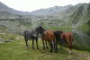 Cab Pietrele, Lac Galesu