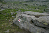 Cab Pietrele, Lac Galesu