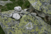Valea Rea, Cab Pietrele