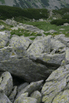 Valea Rea, Cab Pietrele