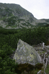 Valea Rea, Cab Pietrele