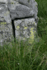 Valea Rea, Cab Pietrele