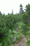 Valea Rea, Cab Pietrele