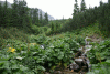 Valea Rea, Cab Pietrele