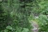 Valea Rea, Cab Pietrele