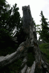 Valea Rea, Cab Pietrele