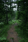 Valea Rea, Cab Pietrele