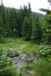 Valea Rea, Cab Pietrele
