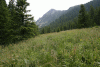 Valea Rea, Cab Pietrele