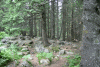 Valea Rea, Cab Pietrele