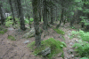Valea Rea, Cab Pietrele