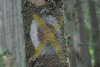 Valea Rea, Cab Pietrele