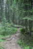 Valea Rea, Cab Pietrele
