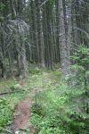 Valea Rea, Cab Pietrele