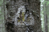 Valea Rea, Cab Pietrele