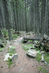 Valea Rea, Cab Pietrele