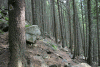 Valea Rea, Cab Pietrele