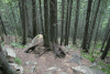Valea Rea, Cab Pietrele