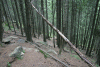 Valea Rea, Cab Pietrele