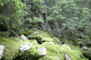 Valea Rea, Cab Pietrele