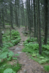 Valea Rea, Cab Pietrele