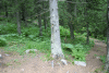 Valea Rea, Cab Pietrele