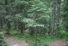 Valea Rea, Cab Pietrele