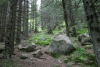Valea Rea, Cab Pietrele