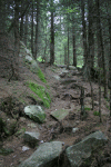 Valea Rea, Cab Pietrele