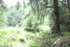 Valea Rea, Cab Pietrele