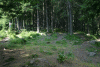Cab Pietrele, Lac Bucura