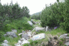 Cab Pietrele, Lac Bucura