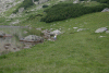 Cab Pietrele, Lac Bucura