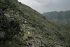 Cab Pietrele, Lac Bucura