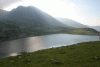 Lac Bucura, Cab Carnic