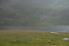 Lac Bucura, Cab Carnic