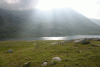 Lac Bucura, Cab Carnic