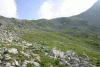 Lac Bucura, Cab Carnic