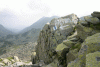 Lac Bucura, Cab Carnic