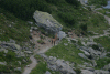 Lac Bucura, Cab Carnic