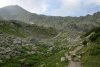 Lac Bucura, Cab Carnic