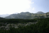 Lac Bucura, Cab Carnic