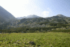 Lac Bucura, Cab Carnic