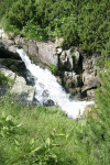 Lac Bucura, Cab Carnic