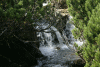 Lac Bucura, Cab Carnic