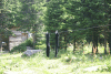 Lac Bucura, Cab Carnic